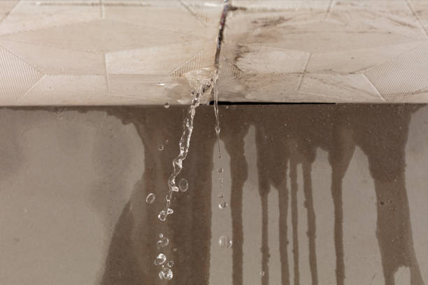 Professional Structural Drying technician working in Montgomery, IN